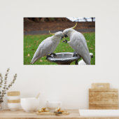 2つのコカトススイートモーメント ポスター (キッチン)