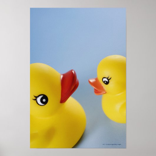 2つのゴムアヒルのクローズアップ ポスター (正面)