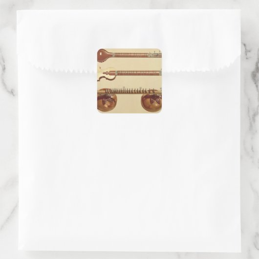 2つのシタールとラドラのヴィーナ，インディアン, 'ミュージカル スクエアシール (バッグ)