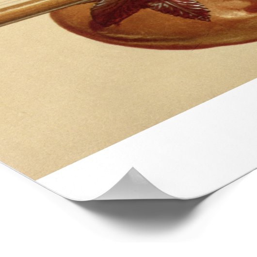 2つのシタールとラドラのヴィーナ,インディアン, 'ミュージカル ポスター (角)