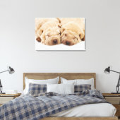 2つのシャールペイ子犬の眠っている キャンバスプリント (インサイチュ (寝室))