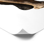 2つのシロサイを単離した ポスター (角)