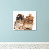 2つのシーズー（犬） – 風のTzus キャンバスプリント (インサイチュ (ウッドフロア))