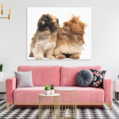 2つのシーズー（犬） – 風のTzus キャンバスプリント (インサイチュ (リビング))