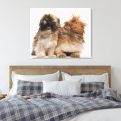 2つのシーズー（犬） – 風のTzus キャンバスプリント (インサイチュ (寝室))