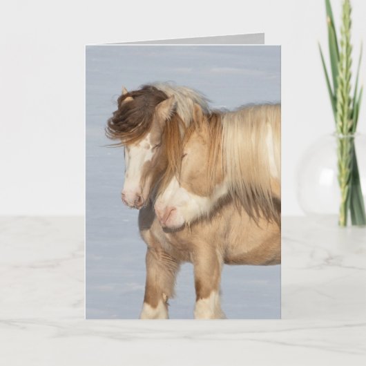 2つのジプシー・スタリオン – グリーティングカード (正面)