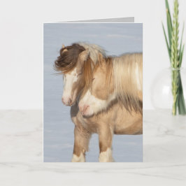 2つのジプシー・スタリオン – グリーティングカード