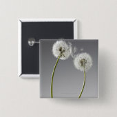 2つのタンポポをつなぐ種子 缶バッジ (正面&裏面)