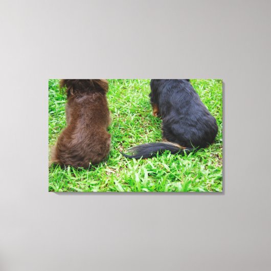 2つのダシュント犬の背面 キャンバスプリント (正面)