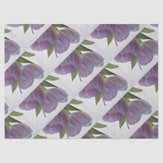 2つのチューリップ逆Opt.2 薄葉紙 (正面)