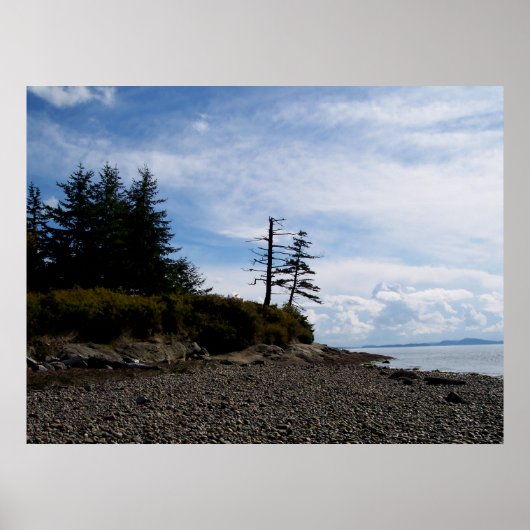 2つのツリーポイント ポスター (正面)