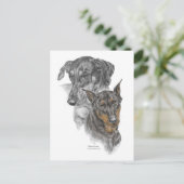 2つのドベルマンのポートレート ポストカード (スタンド正面)