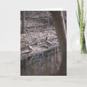 「2つのハイランドレイクマラード」サンキューカード カード (正面)