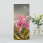 2つのハミングバードのヒードカードを持つ蘭 (スタンド正面)