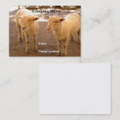 2つのヒツジの名刺 名刺 (正面/裏面)