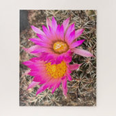 2つのピンクのサボテンの花クローズアップ写真 ジグソーパズル (縦)