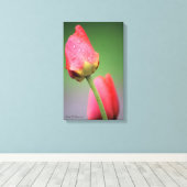 2つのピンクチューリップのキャンバス印刷 キャンバスプリント (インサイチュ (ウッドフロア))