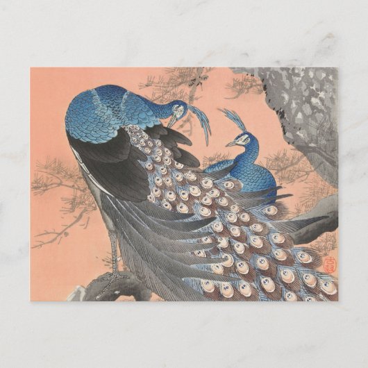 2つのピーコックオンツリーブランチヴィンテージ ポストカード (正面)