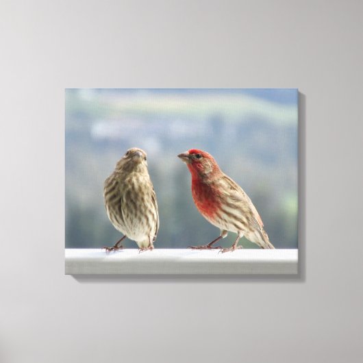 2つのフィンチは飛ぶ。 キャンバスプリント (正面)