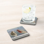 2つのフィンチは飛ぶ。 コースター (右側)