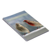 2つのフィンチは飛ぶ。 ノートブック (右側)