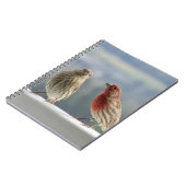 2つのフィンチは飛ぶ。 ノートブック (左側)