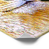 2つのフォーカスのある_ポスター ポスター (角)