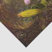 2つのブラジルのハミングバードを持つカトレヤの蘭 薄葉紙 (詳細)