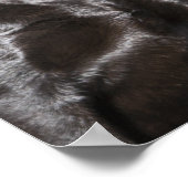 2つのブラックラブラドールレトリバー ポスター (角)