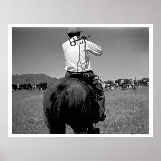 2つのブランドの馬にカウボーイ。 ポスター (正面)