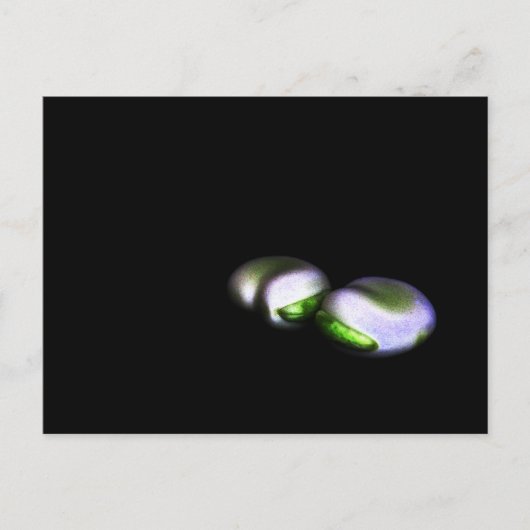 2つのブロードビーンズpccnm ポストカード (正面)