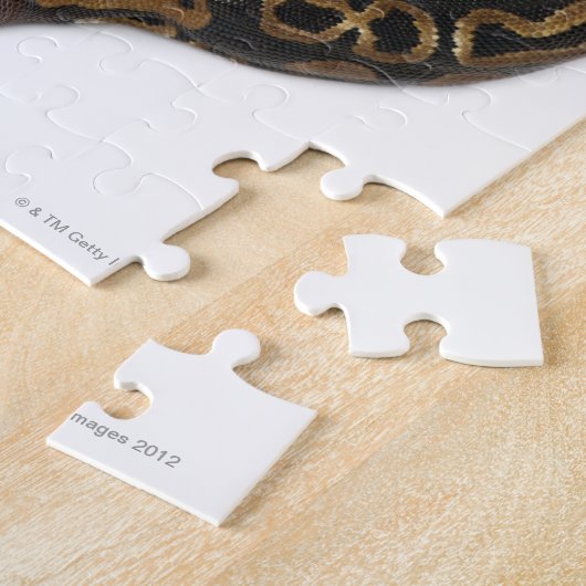 2つのヘッド王室の付きPythonまたはBall Python - Python ジグソーパズル (側面)