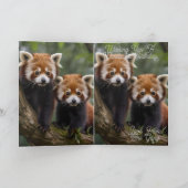 2つのベビーレッドパンドラ、誕生日カード カード (内部)