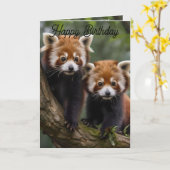 2つのベビーレッドパンドラ、誕生日カード カード (黄色い花)