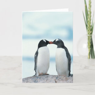 2つのペンギンが嘴に触れる カード