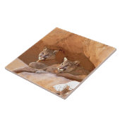 2つのマウンテンライオンズ タイル (側面)