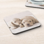 2つのミニチュアのダックスフント コースター (左側)