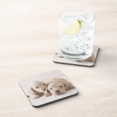 2つのミニチュアのダックスフント コースター (右側)