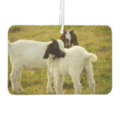 2つのヤギ カーエアーフレッシュナー (裏面)