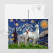 2つのラマで星空の夜 ポストカード (正面/裏面)