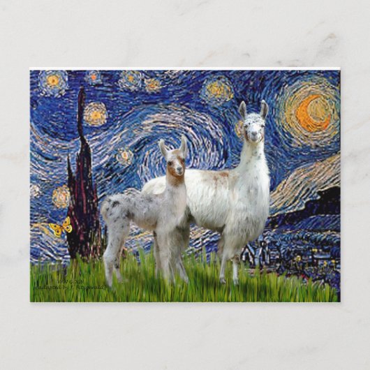 2つのラマで星空の夜 ポストカード (正面)