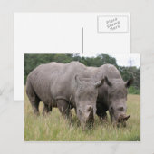 2つのリノスハガキ ポストカード (正面/裏面)