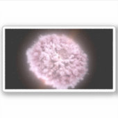 2つの中性子星から集まった破片の雲 シール (正面)