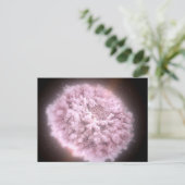 2つの中性子星から集まった破片の雲 ポストカード (スタンド正面)