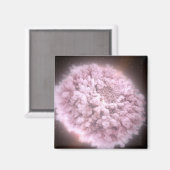 2つの中性子星から集まった破片の雲 マグネット (正面/裏面)