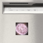 2つの中性子星から集まった破片の雲 マグネット (インサイチュ (食洗機))