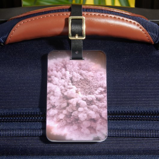 2つの中性子星から集まった破片の雲 ラゲッジタグ (正面インサイチュ2)