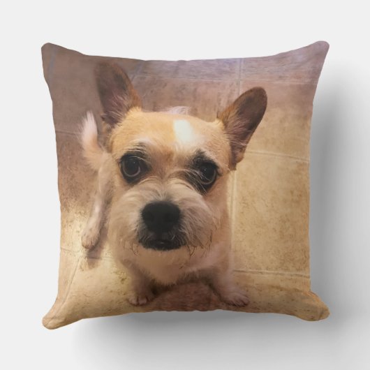 2つの写真、20x20パーソナライズな写真の文字は置きます クッション (裏面)