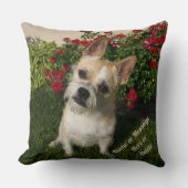 2つの写真、20x20パーソナライズな写真の文字は置きます クッション (正面)