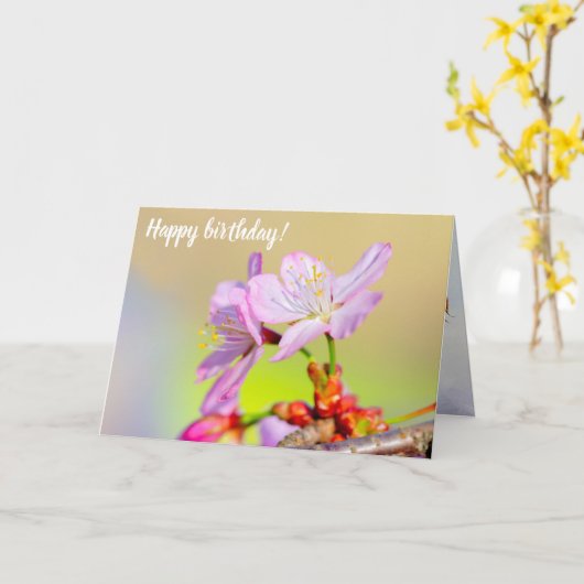 2つの勇敢な桜の花と背カラフル景 カード (黄色い花)